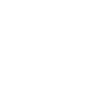 Icon of app Shopify