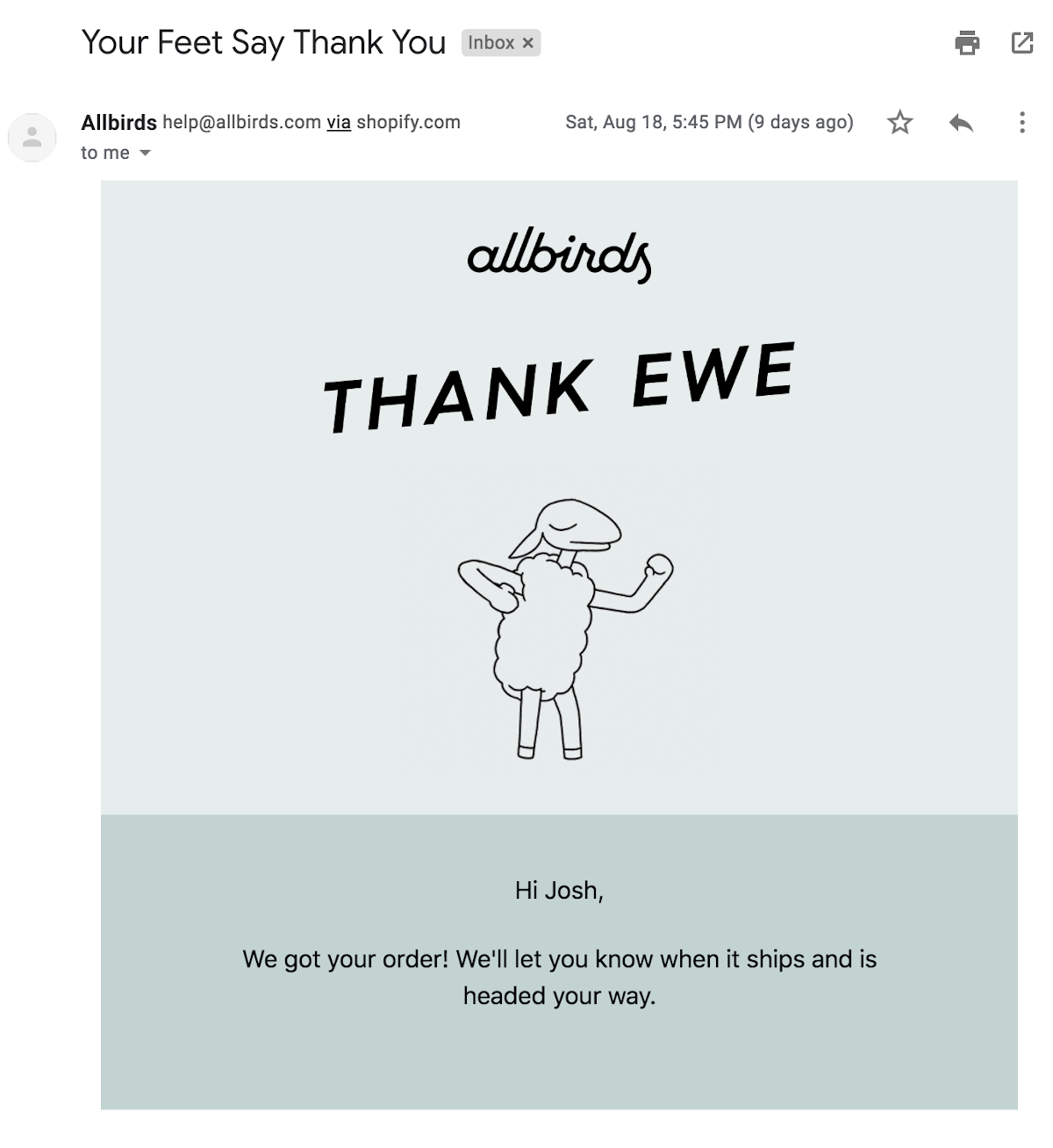 allbirds-thank-you-email